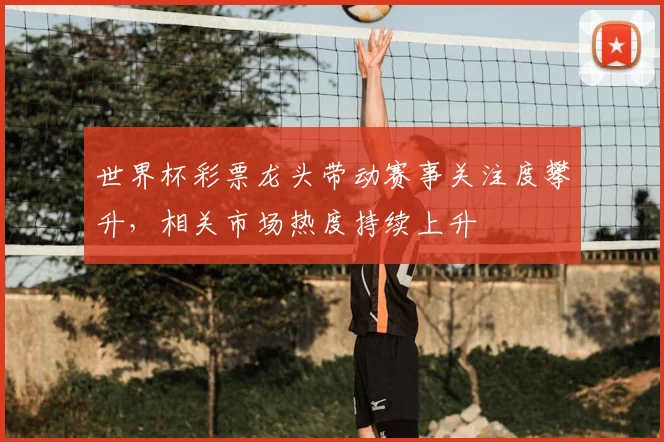世界杯彩票龙头带动赛事关注度攀升，相关市场热度持续上升