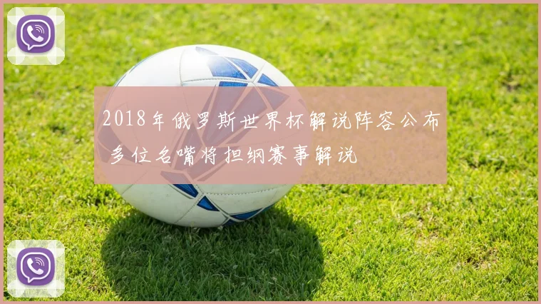 2018年俄罗斯世界杯解说阵容公布 多位名嘴将担纲赛事解说