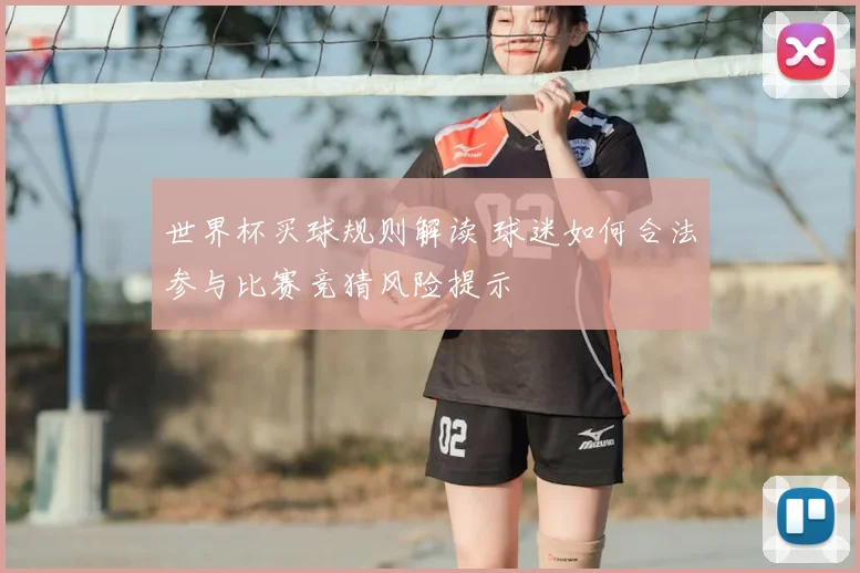 世界杯买球规则解读 球迷如何合法参与比赛竞猜风险提示