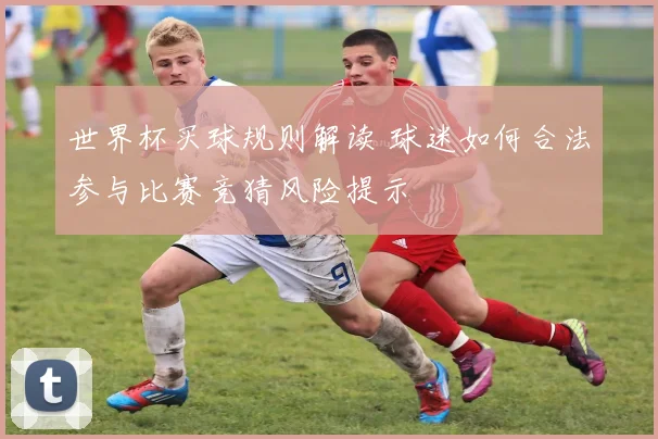 世界杯买球规则解读 球迷如何合法参与比赛竞猜风险提示